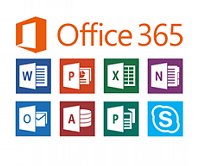 Ms Office